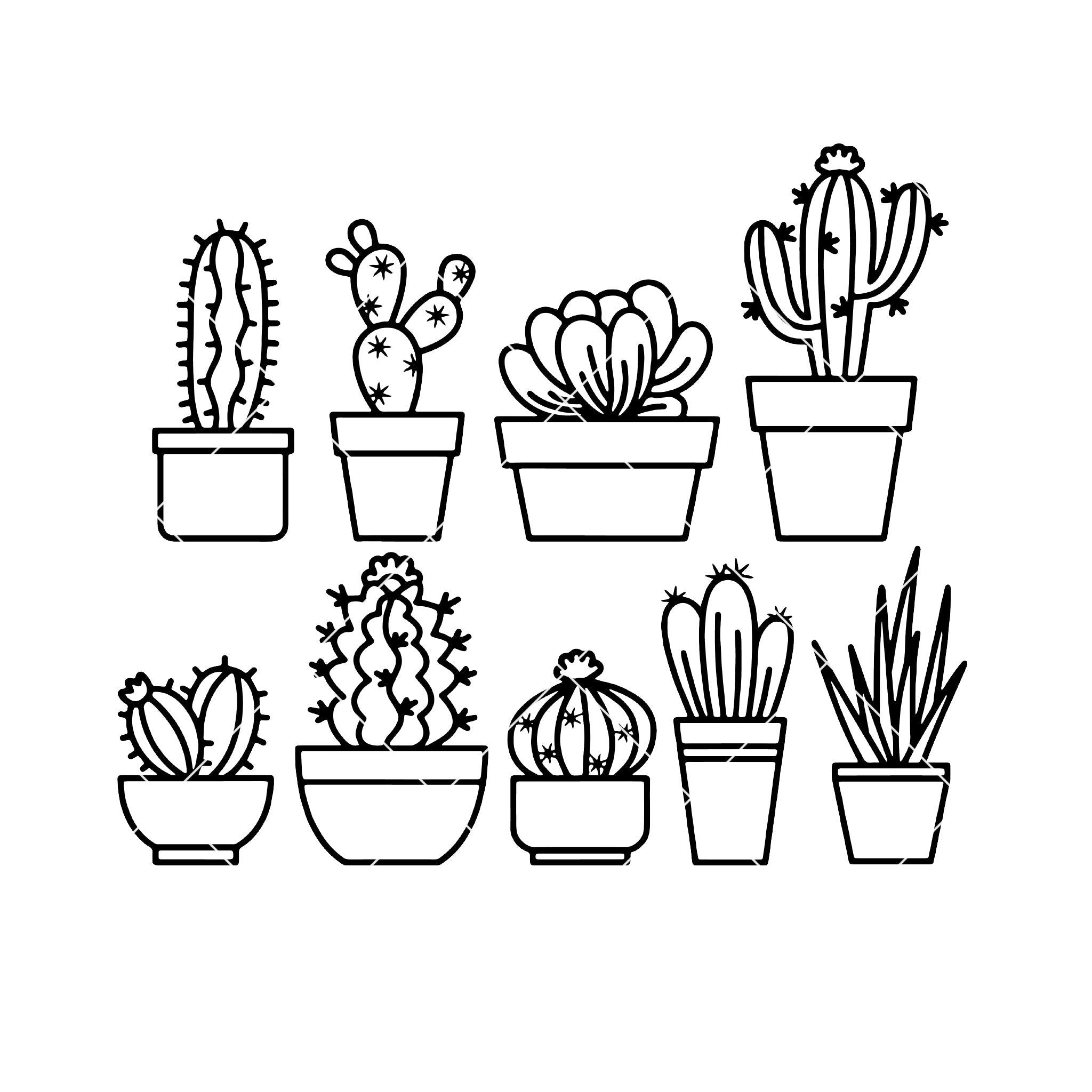 Download Cactus-Succulent Digital Cut Files Svg, Dxf, Eps, Png, Cricut Vector, | Doran Star