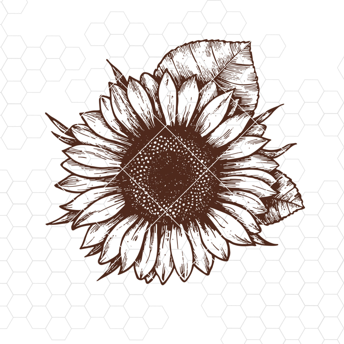 Free Free 99 Free Svg Sunflower Cut Files SVG PNG EPS DXF File