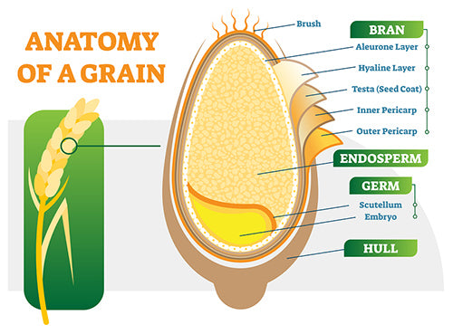 Anatomy of a Grain / Layers