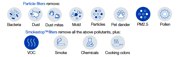 Types of particles the two main types of Blueair filters remove