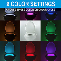 Illumibowl Colour 
Options