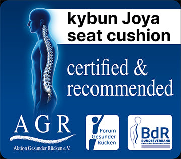 back associations certification for kybun seat cushion