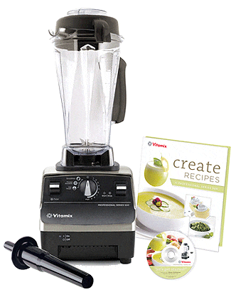 Vitamix Aspire vs Vitamix Professional 500