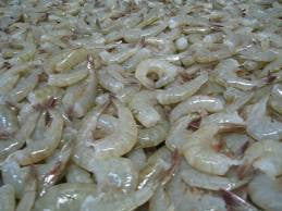 White Shrimp U15 Shell On Unprepared We Ll Get The Food