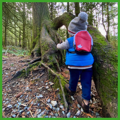 8"-Maplelea-doll-boy-in-forest-wearing-backpack