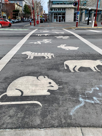 Crosswalk with animals from Chinese culture