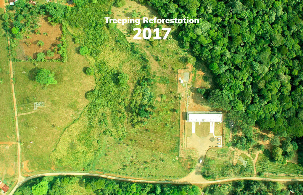 Treeping Reforestation 2017