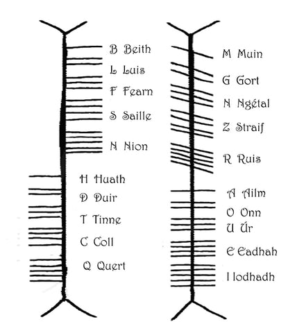 ogham lettrs