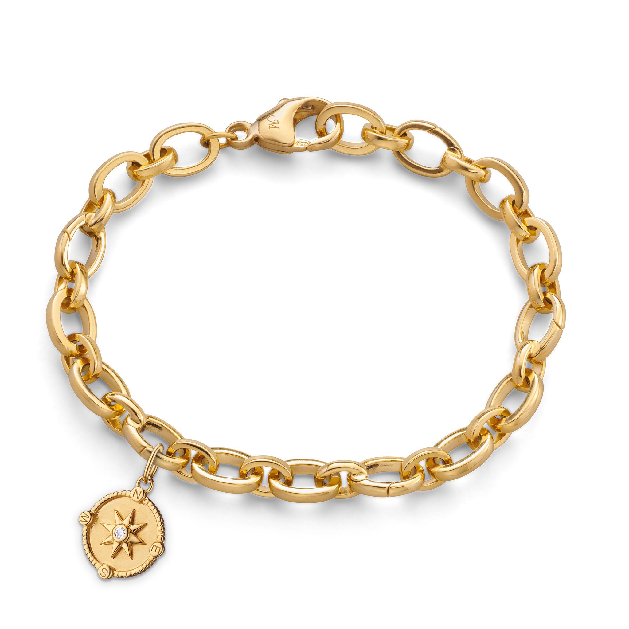Gold Plated Charm Bracelet | Lily Charmed