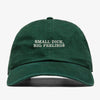 SMALL DICK BIG FEELINGS Dad Hat