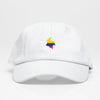 Colombia - Dad Hat