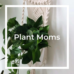 Top sustainable and eco-friendly gifts for plant moms.  Gifts for people who like plants and gardening. 