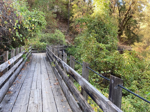 walking path in the woods trail