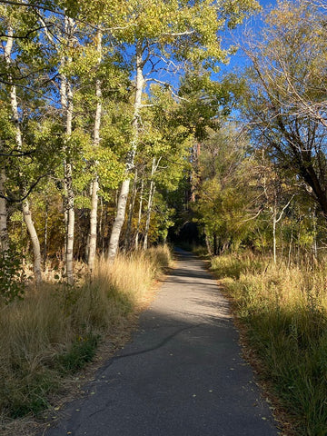 half day hike in the woods