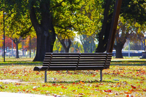 A park bench for taking a break during a large city walk in Eastern United States.