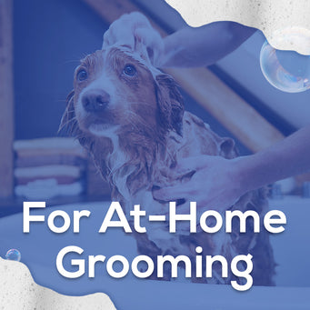 Educational Content for At-Home Grooming