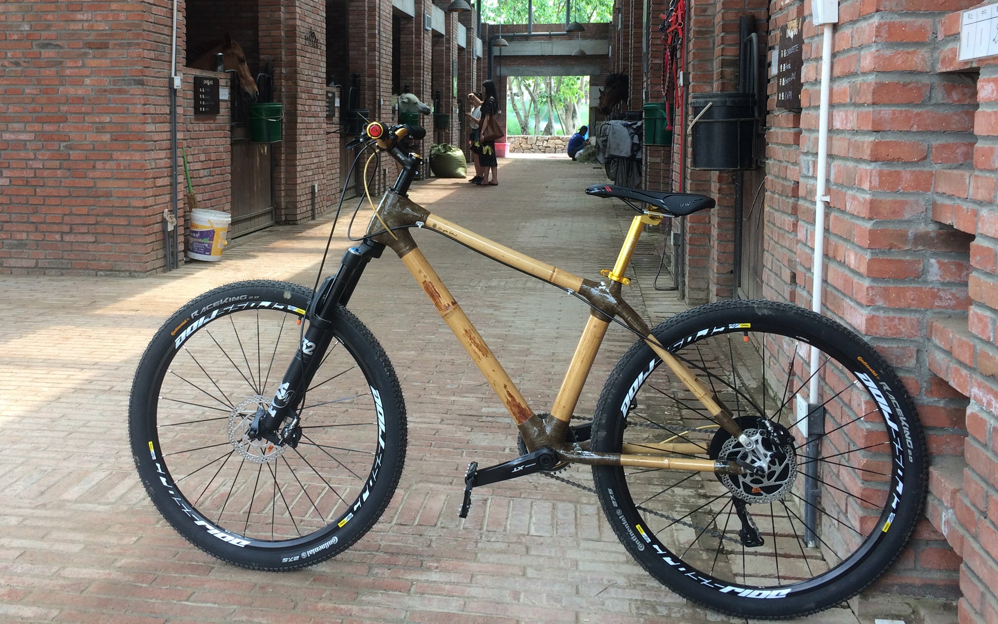 bamboo mountain bike