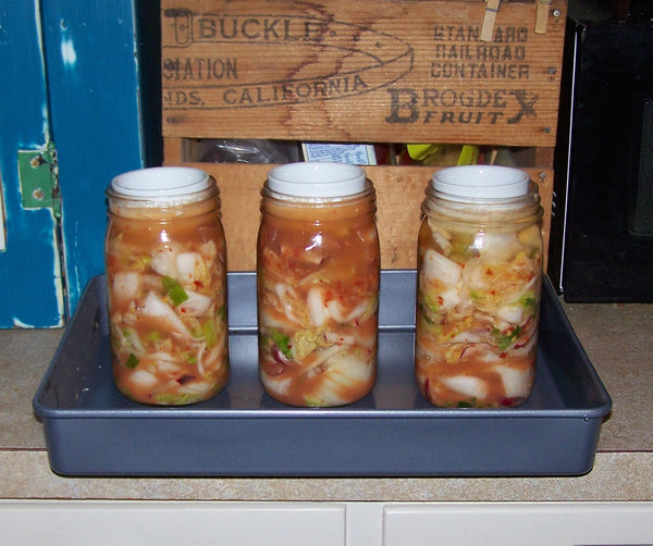 fermenting kimchi