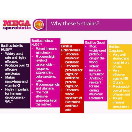 megasporebiotic microbiome labs