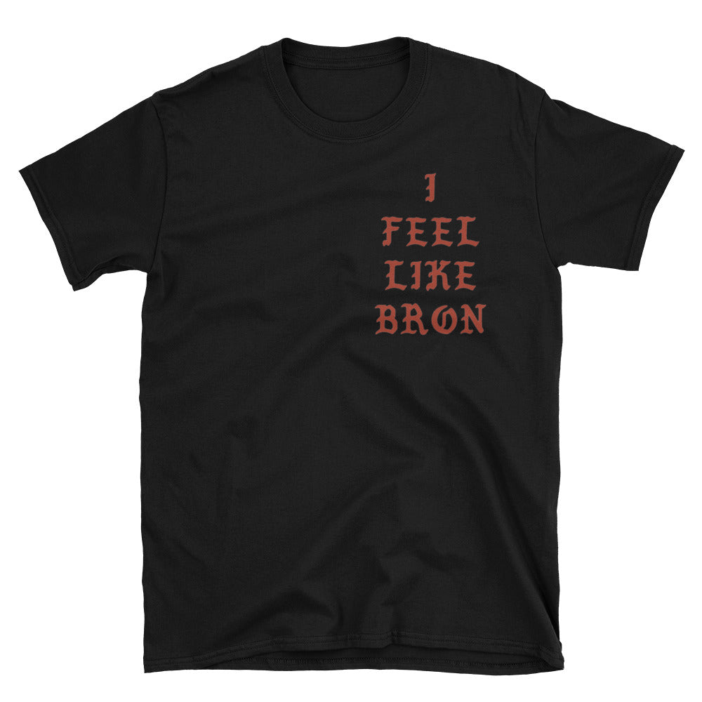 lebron james ring shirt