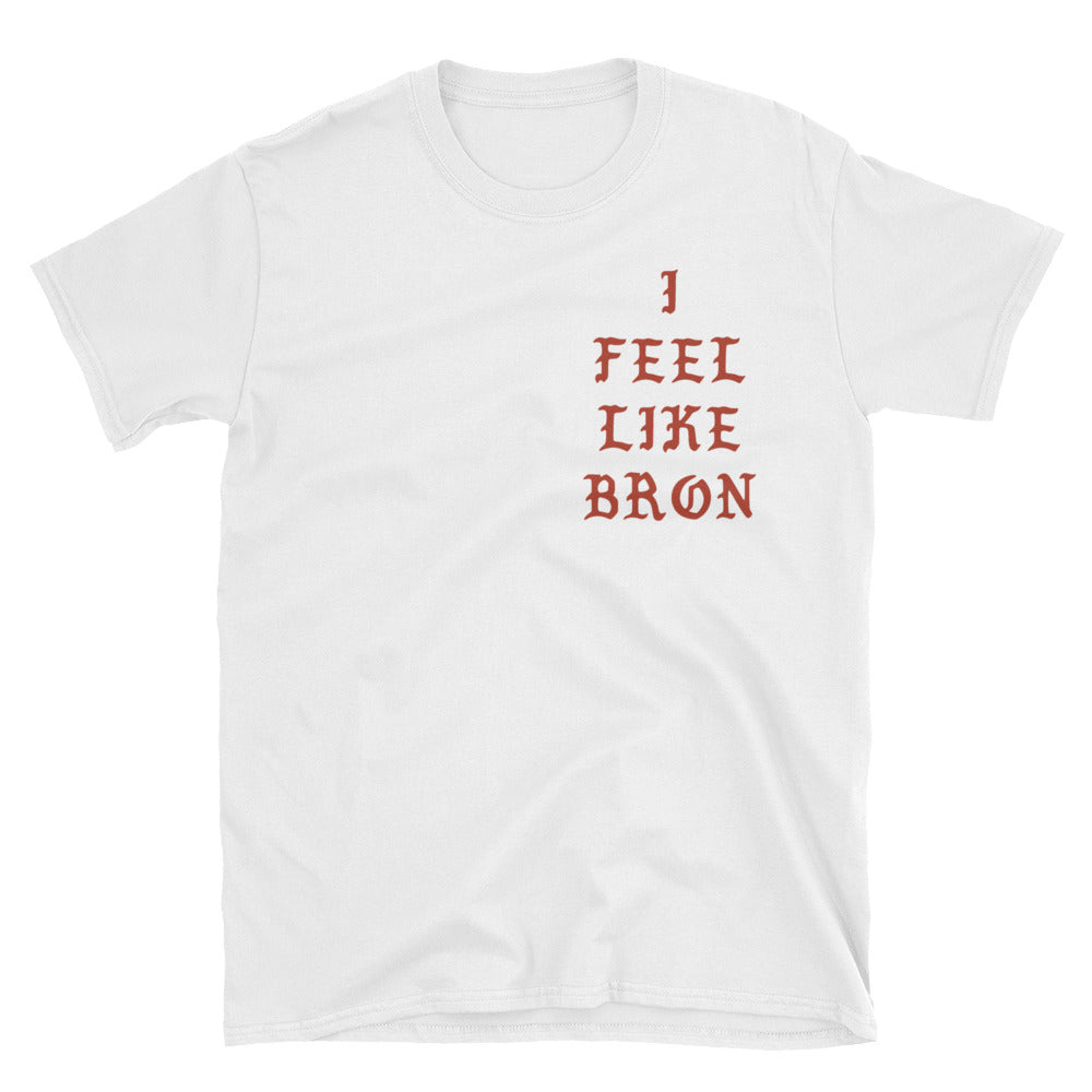 lebron james orange shirt