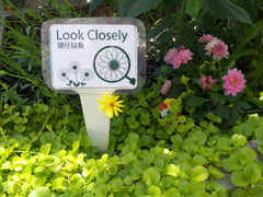 'Look Closely' garden activity sign prototype
