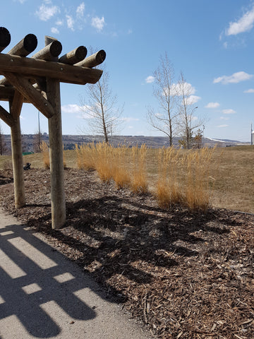 Mulch on prairie garden soil