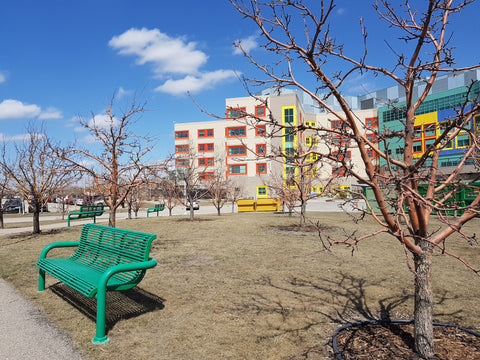 Apple orchard at Alberta Children's Hospital