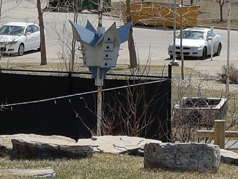 Bird condo at Alberta Children's Hospital