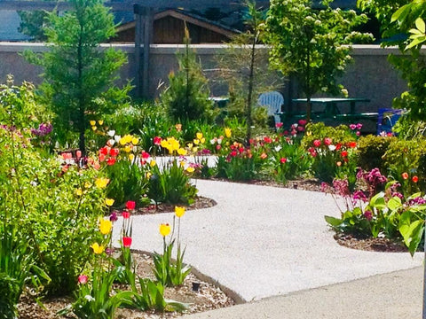 Spring garden at Alberta Children's Hospital