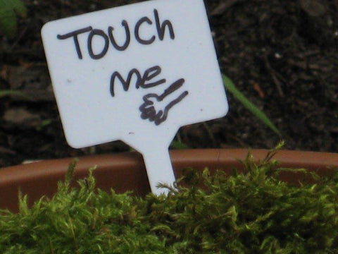 'Touch Me' garden sign at Pitt Meadows Elementary School Therapeutic and Enabling Garden
