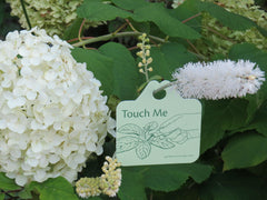 'Touch Me' garden activity sign