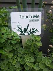 Touch Me garden activity sign prototype