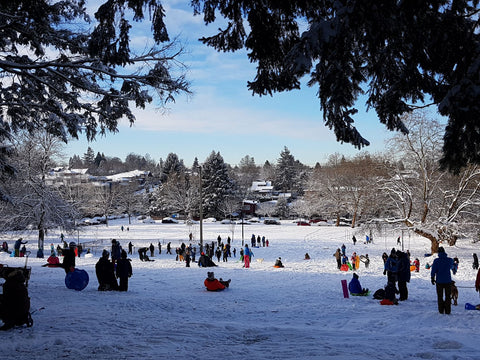 Sledding down a slope on a snowy winter day