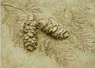 pine cone stencil border