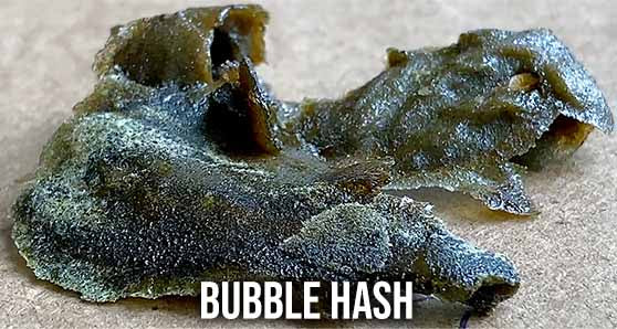 BUBBLEBAGDUDE Bubble Machine Review (How to make bubble hash) 