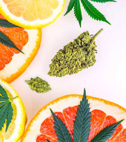 10 Cannabis Strains for People Who Love Citrus Terpenes