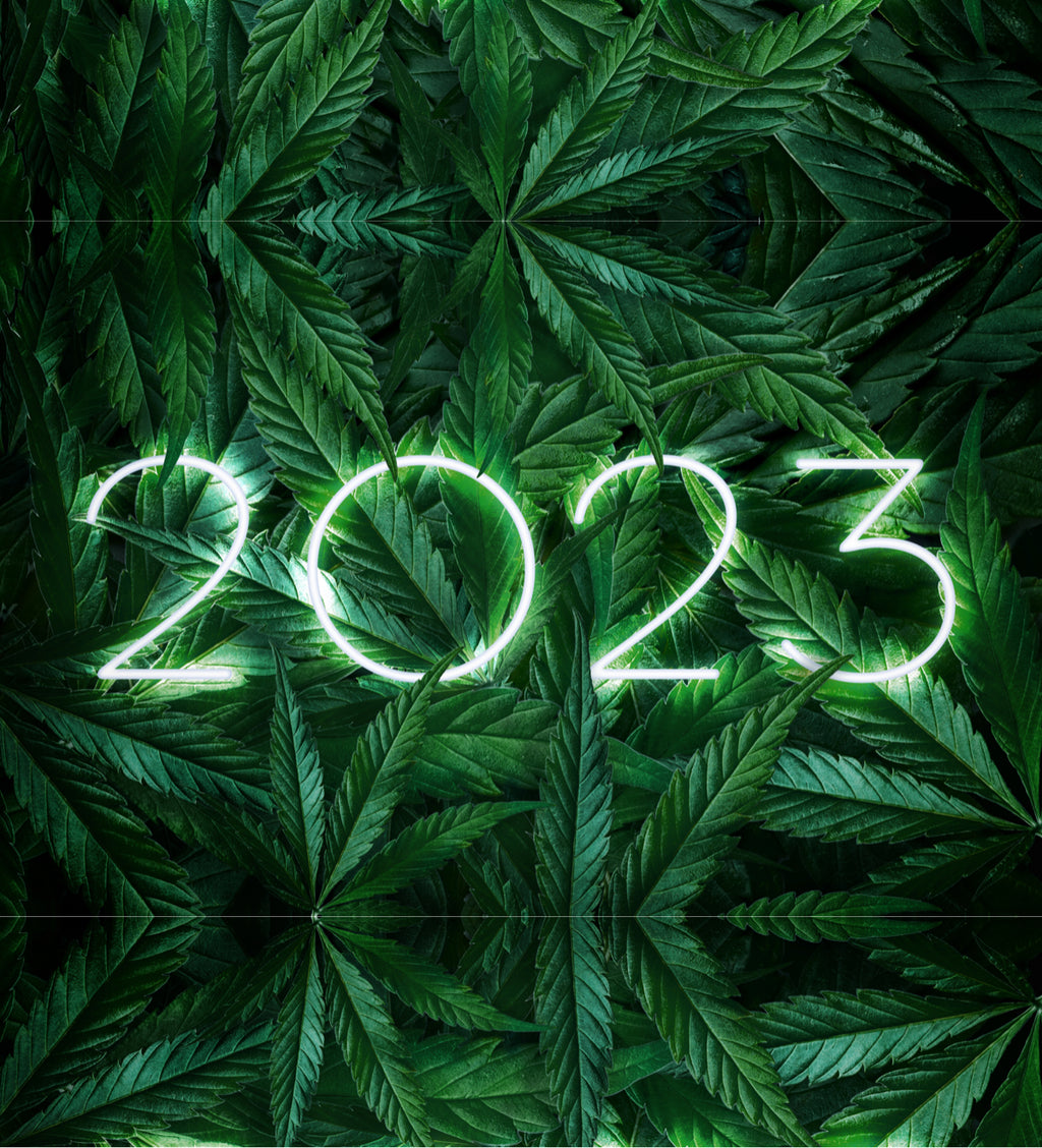 Cannabis Trends 2023 1024x ?v=1671481132