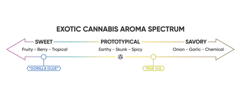 Exotic Cannabis Aroma Spectrum | Abstrax Tech