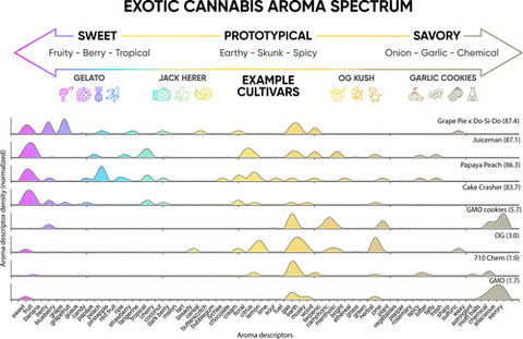 Exotic Cannabis Aroma Spectrum | The Science of Exotic | Abstrax Tech