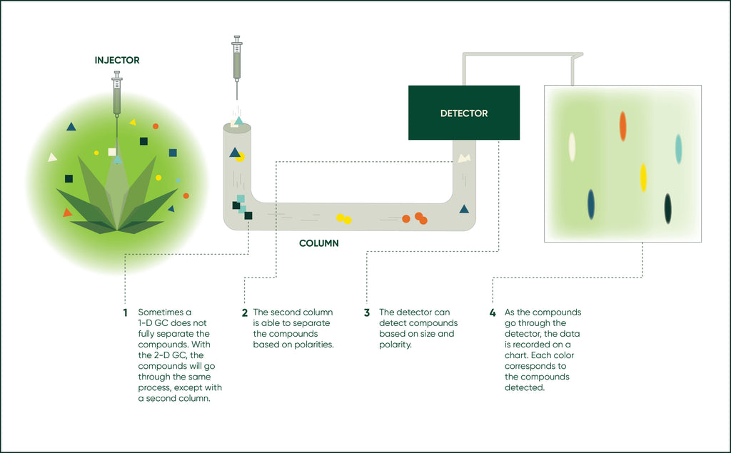 Figure 3. Simplified schematic of how 2-dimensional gas chromatography operates.