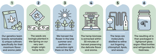 Terplandia Hemp-Derived Terpenes Extraction Process | Abstrax Tech