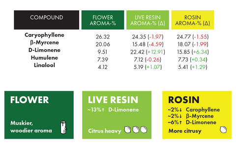 Flower, Live Resin and Rosin Comparison