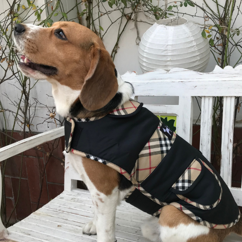 PoochMate Black Duffle Coat| Dog Jackets online India