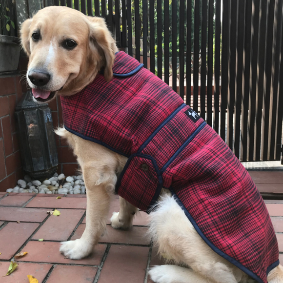 Woolen Dog Jackets 