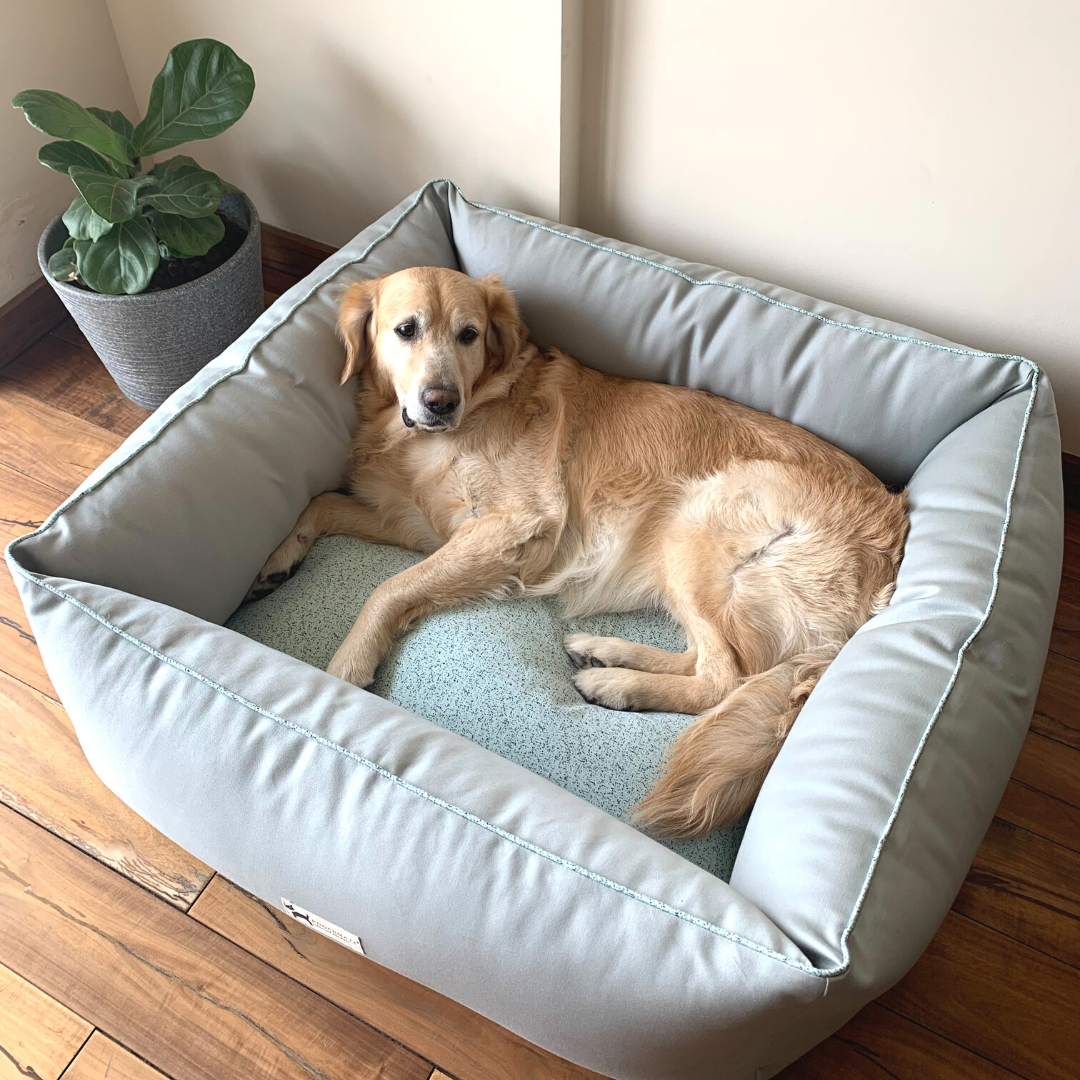 Washable Dog Bed Dog Bed Large Size Dog Beds Online India Poochmate