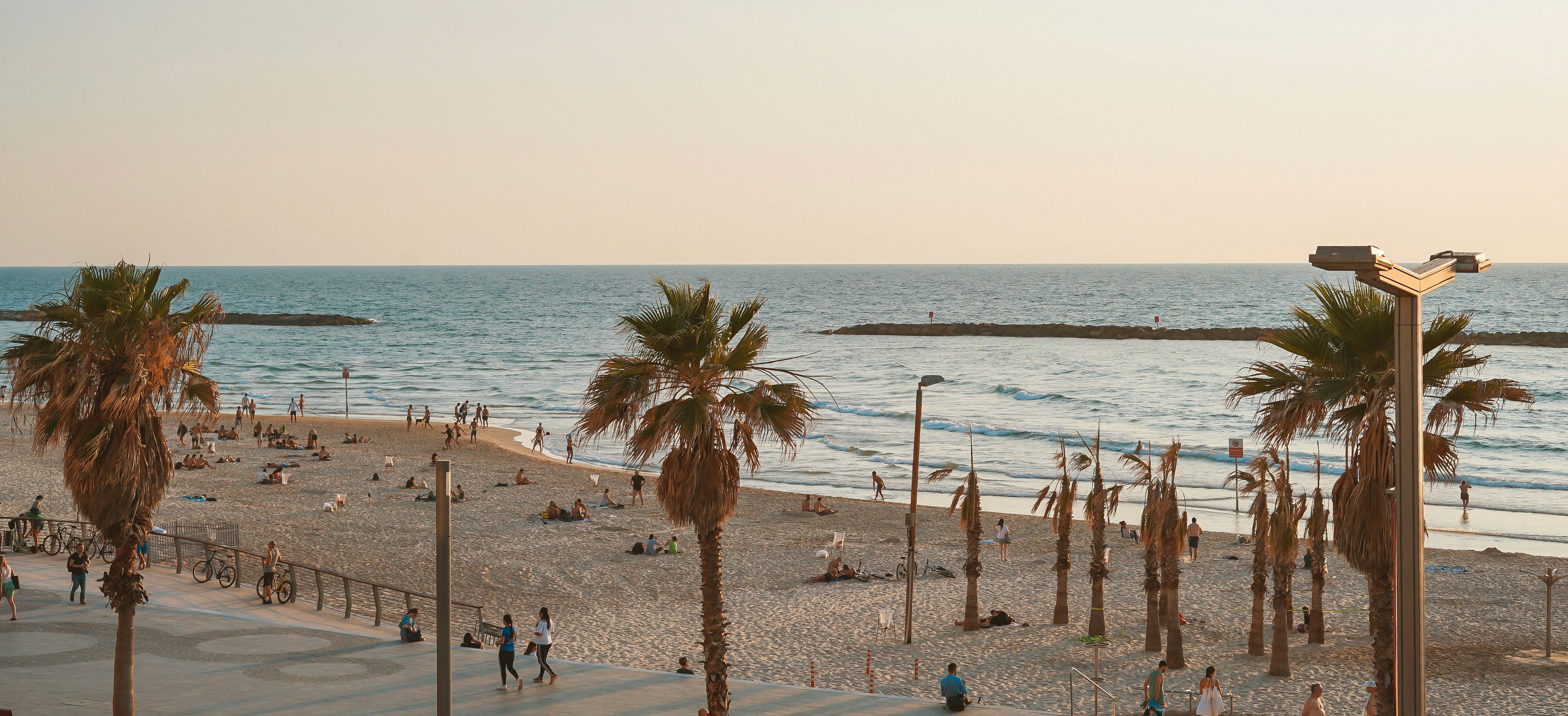 Strand in Tel Aviv bei Sonnenuntergang. Im Vordergund 3 Palmen, im Hintergrund das Mittelmeer, ganz leichter Wellengang.