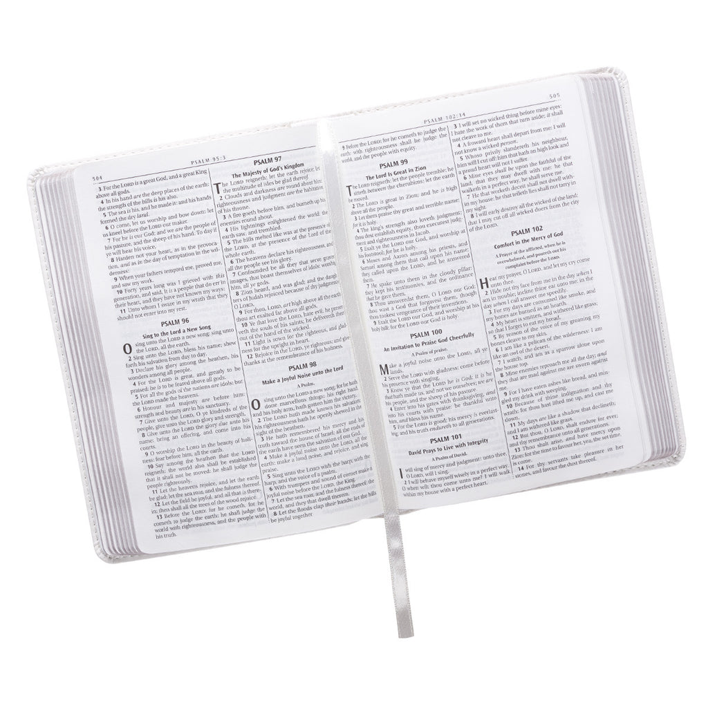 pure bible search