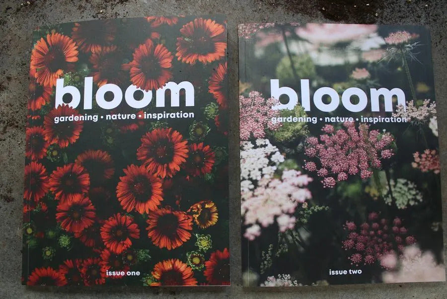 Bloom magazines