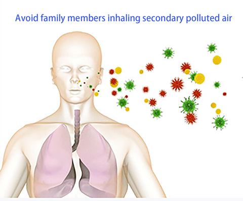 SECONDARY AIR PULLUTION-RAYCOP